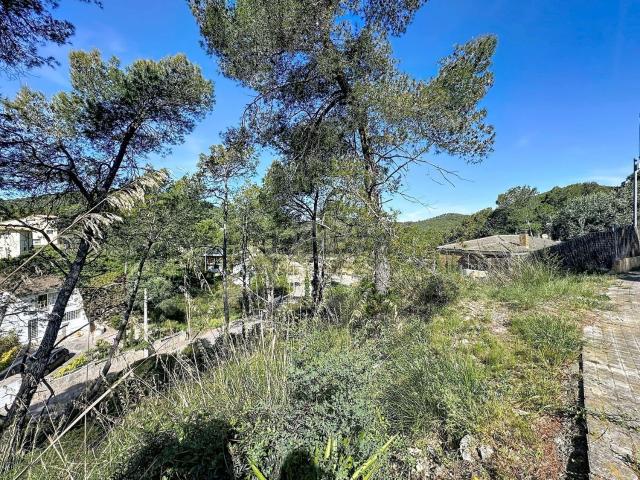 Terreno, Olivella
