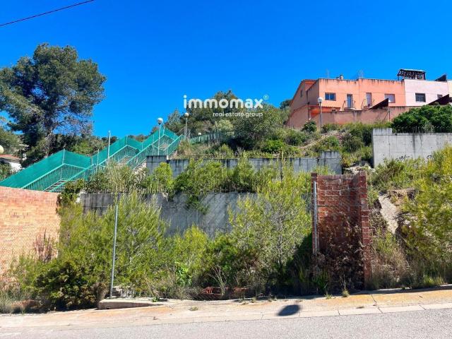 Terreno, Olivella