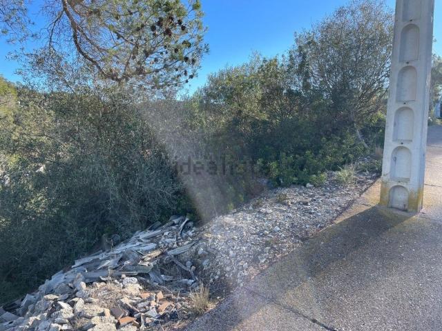 Terreno, Olivella