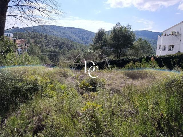 Terreno, Olivella