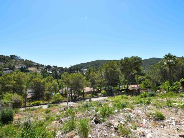 Terreno, Olivella