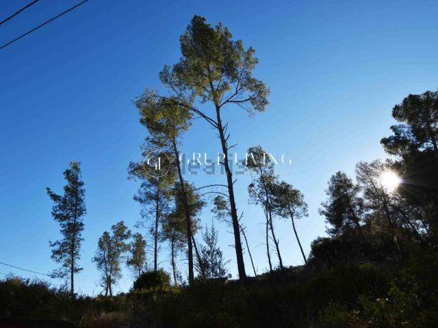 Terreno, Olivella