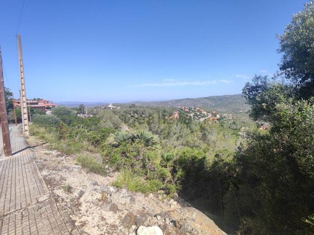 Terreno, Olivella
