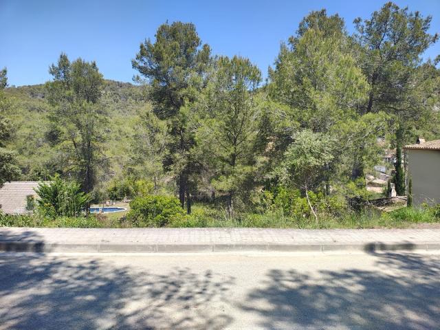 Terreno, Olivella
