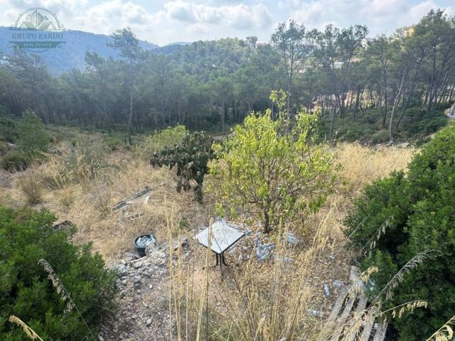 Terreno, Olivella