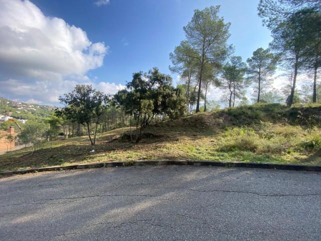 Terreno, Olivella