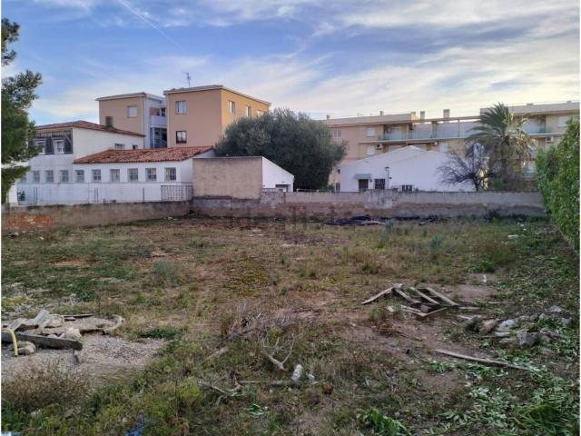 Terreno, Olivers Paseo Marítimo, Mont Roig del Camp