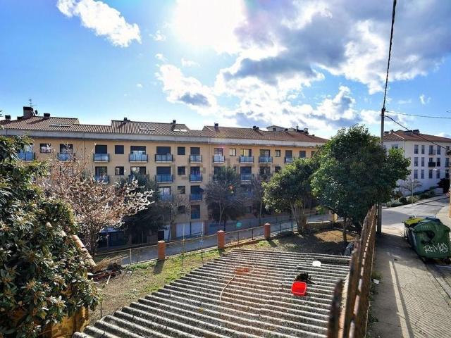 Terreno, Olot