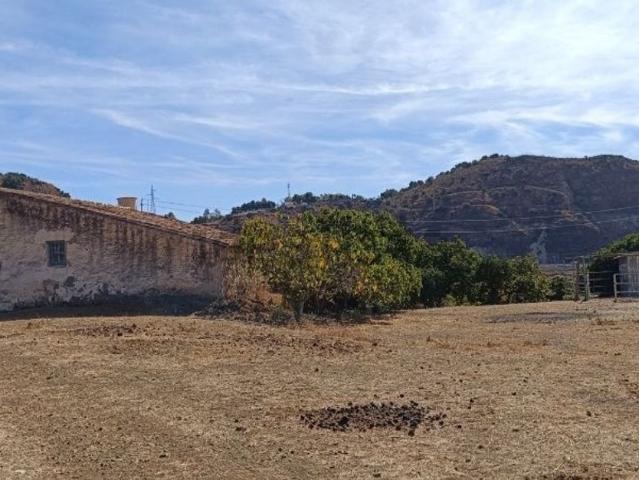 Terreno, Olletas Sierra Blanquilla, Málaga