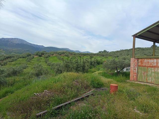 Terreno, Olletas Sierra Blanquilla, Málaga