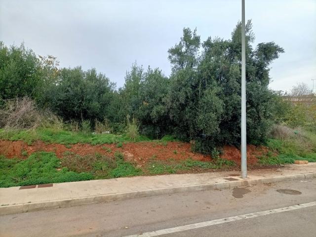 Terreno, Onda