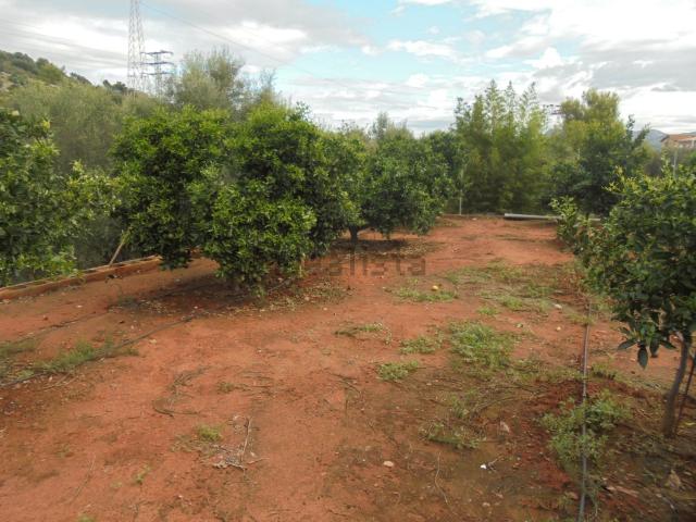 Terreno, Onda