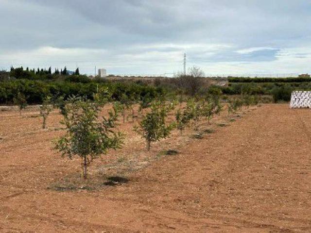 Terreno, Onda