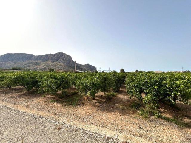 Terreno, Ondara