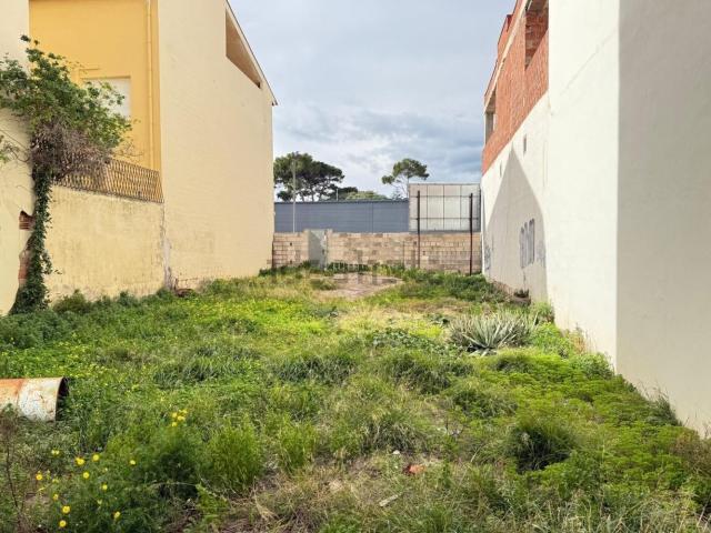 Terreno, Ondara
