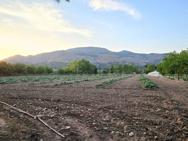 Terreno, Onil