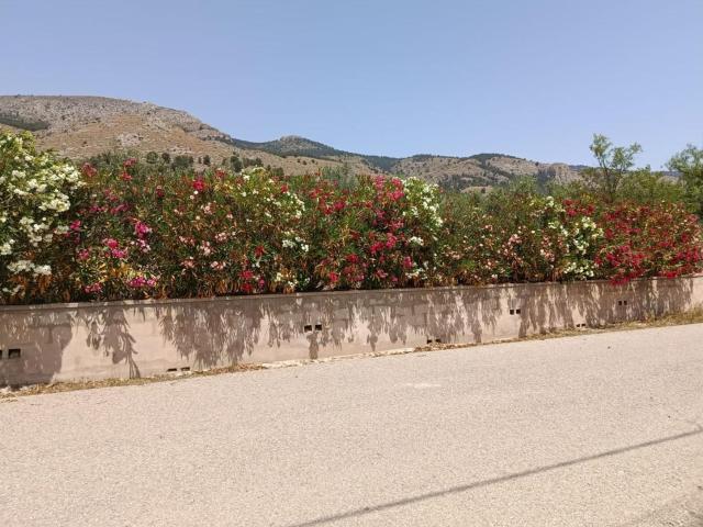 Terreno, Onil