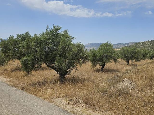 Terreno, Onil