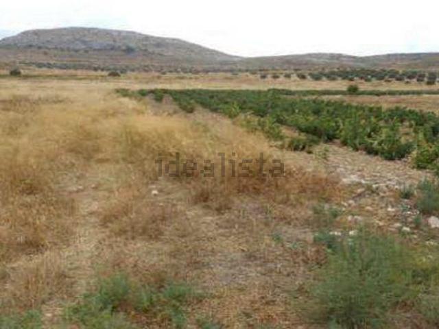 Terreno, Ontur