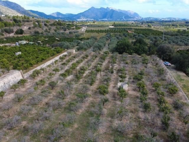 Terreno, Orba