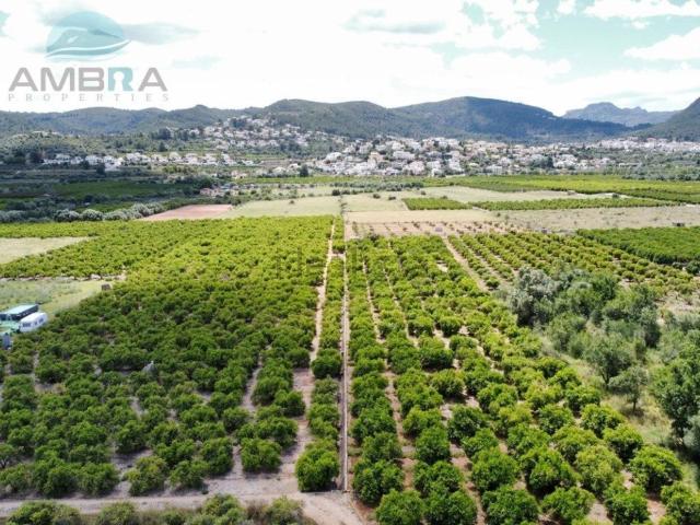 Terreno, Orba