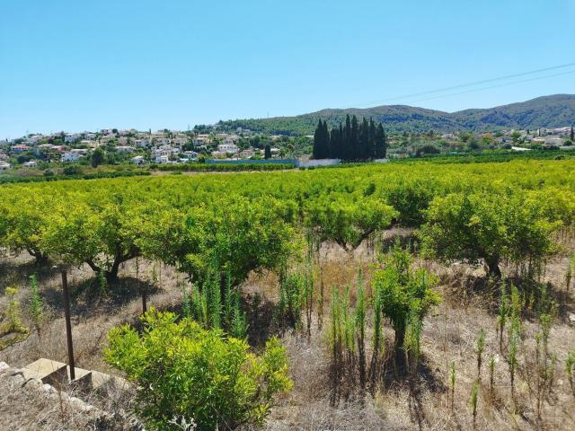 Terreno, Orba