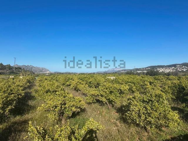 Terreno, Orba