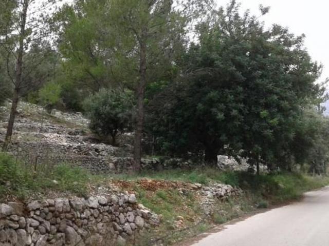 Terreno, Orba