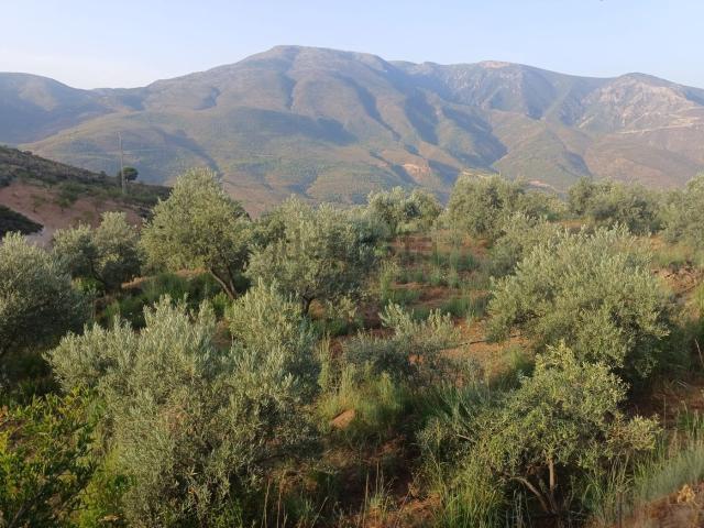 Terreno, Orgiva