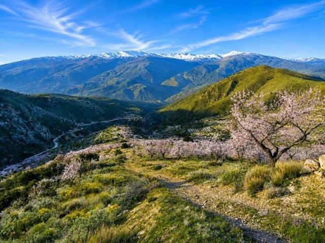 Terreno, Orgiva