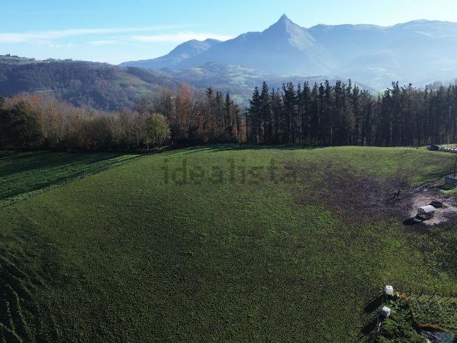 Terreno, Ordizia