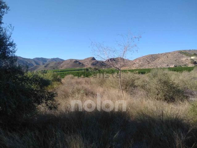 Terreno, Orihuela