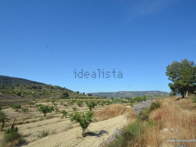 Terreno, Orihuela