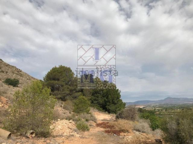Terreno, Orihuela