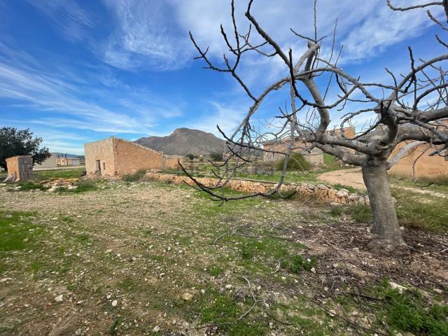 Terreno, Orihuela