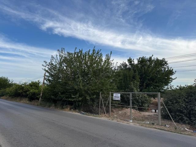 Terreno, Orihuela