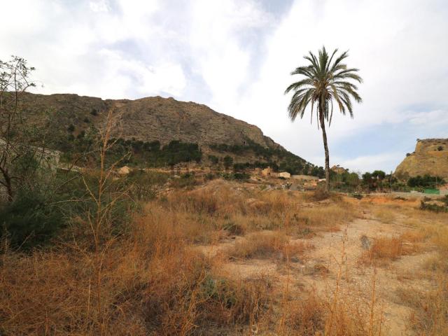 Terreno, Orihuela