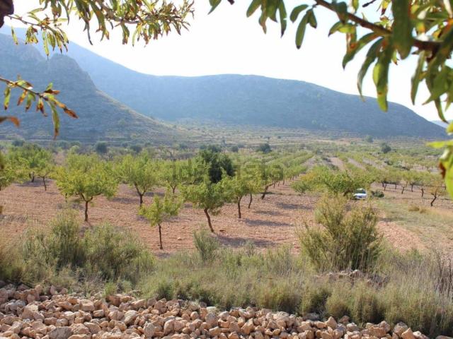 Terreno, Orihuela