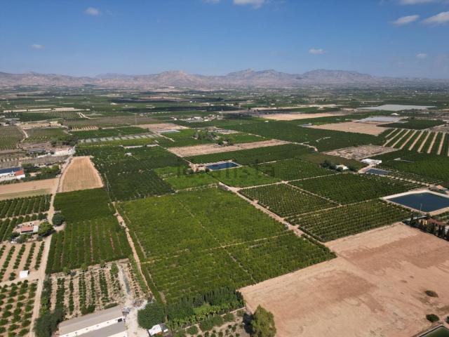 Terreno, Orihuela