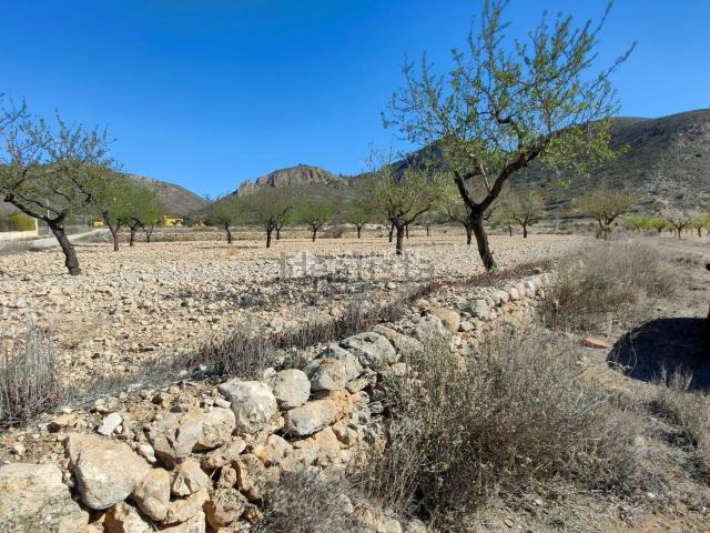 Terreno, Orihuela