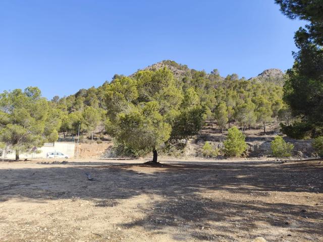 Terreno, Orihuela