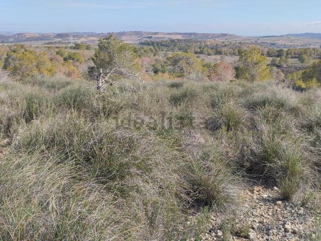 Terreno, Orihuela