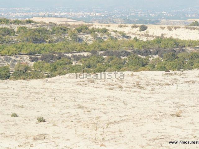 Terreno, Orihuela
