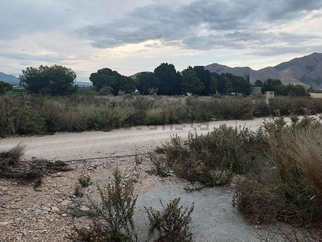Terreno, Orihuela