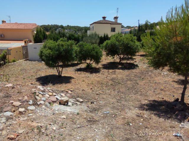 Terreno, Oropesa del Mar