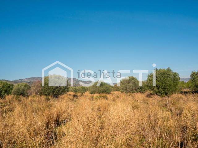 Terreno, Oropesa del Mar