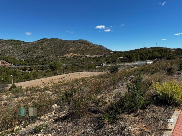 Terreno, Oropesa del Mar