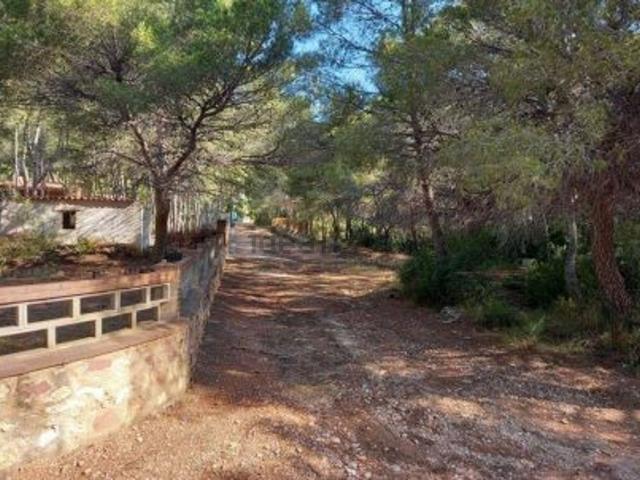 Terreno, Oropesa del Mar