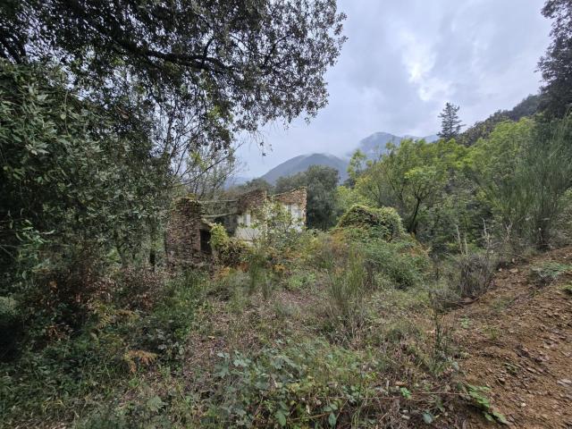Terreno, Osor