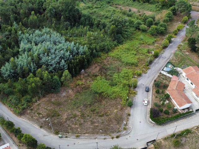 Terreno, Ossela
